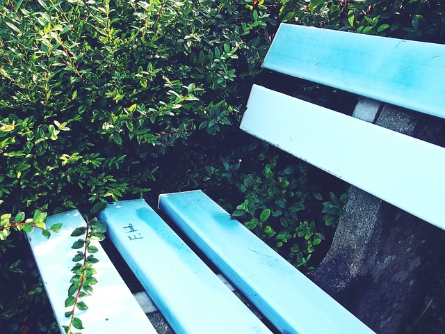 因地制宜的 因地制宜的