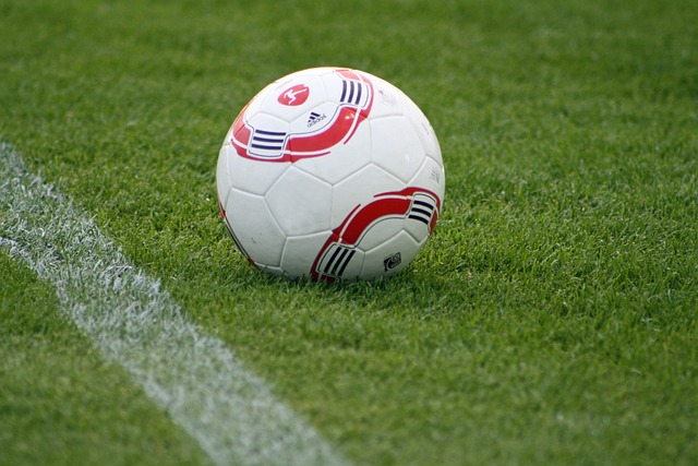 在场上人数 在场上人数