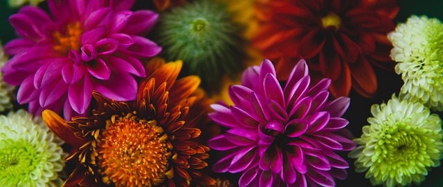 意大利国家 意大利国家